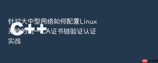 针对大中型网络如何配置linux系统的统一ca证书链验证认证实战