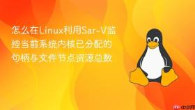 怎么在linux利用sar-v监控当前系统内核已分配的句柄与文件节点资源总数