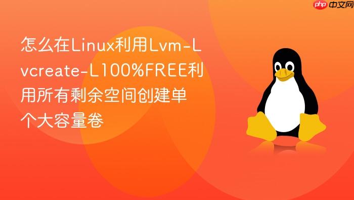 怎么在linux利用lvm-lvcreate-l100%free利用所有剩余空间创建单个大容量卷