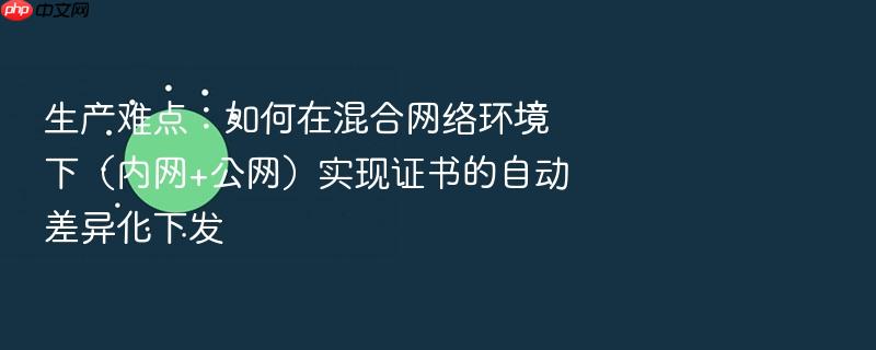 生产难点:如何在混合网络环境下(内网+公网)实现证书的自动差异化下发