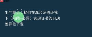 生产难点:如何在混合网络环境下(内网+公网)实现证书的自动差异化下发