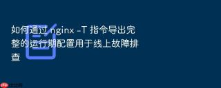 如何通过 nginx -t 指令导出完整的运行期配置用于线上故障排查