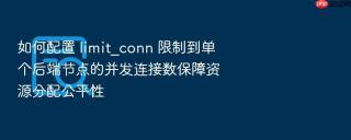 如何配置 limit_conn 限制到单个后端节点的并发连接数保障资源分配公平性