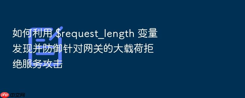 如何利用 $request_length 变量发现并防御针对网关的大载荷拒绝服务攻击
