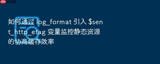 如何通过 log_format 引入 $sent_http_etag 变量监控静态资源的协商缓存效率