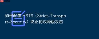 如何配置 hsts（strict-transport-security）防止协议降级攻击