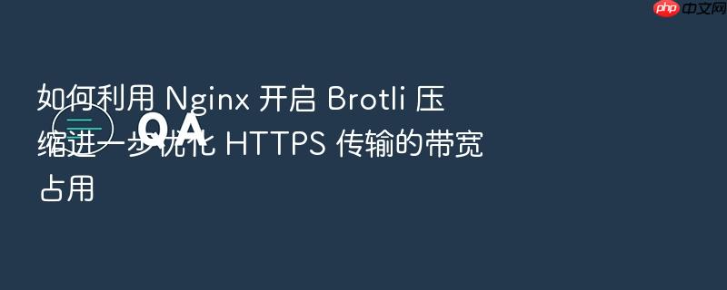 如何利用 nginx 开启 brotli 压缩进一步优化 https 传输的带宽占用