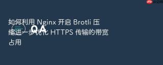 如何利用 nginx 开启 brotli 压缩进一步优化 https 传输的带宽占用