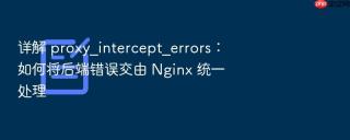详解 proxy_intercept_errors:如何将后端错误交由 nginx 统一处理