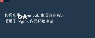 如何利用 openssl 生成自签名证书用于 nginx 内网环境测试