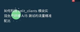 如何利用 split_clients 模块实现生产环境 a/b 测试的流量精准配比