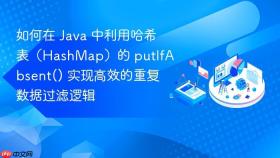 如何在 Java 中利用哈希表（HashMap）的 putIfAbsent() 实现高效的重复数据过滤逻辑