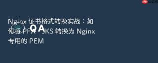 nginx 证书格式转换实战：如何将 pfx、jks 转换为 nginx 专用的 pem