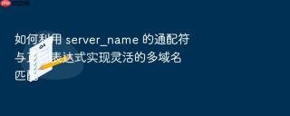 如何利用 server_name 的通配符与正则表达式实现灵活的多域名匹配