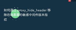 如何通过 proxy_hide_header 移除后端暴露的敏感中间件版本指纹
