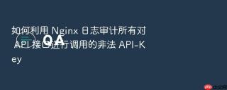 如何利用 nginx 日志审计所有对 api 接口进行调用的非法 api-key