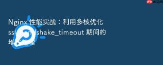 nginx 性能实战：利用多核优化 ssl_handshake_timeout 期间的堆栈处理