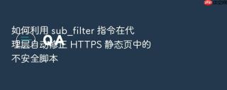 如何利用 sub_filter 指令在代理层自动修正 https 静态页中的不安全脚本