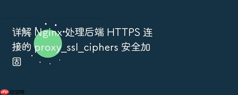 详解 nginx 处理后端 https 连接的 proxy_ssl_ciphers 安全加固