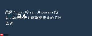 详解 nginx 的 ssl_dhparam 指令:如何生成并配置更安全的 dh 密钥