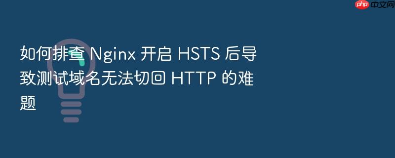 如何排查 nginx 开启 hsts 后导致测试域名无法切回 http 的难题