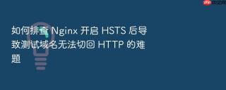 如何排查 nginx 开启 hsts 后导致测试域名无法切回 http 的难题