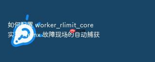 如何配置 worker_rlimit_core 实现 nginx 故障现场的自动捕获