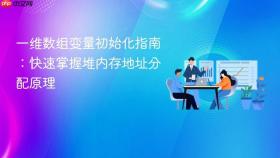 一维数组变量初始化指南:快速掌握堆内存地址分配原理