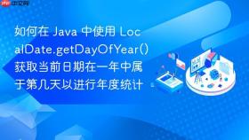如何在 java 中使用 localdate.getdayofyear() 获取当前日期在一年中属于第几天以进行年度统计