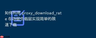 如何利用 proxy_download_rate 在四层负载层实现简单的限速下载
