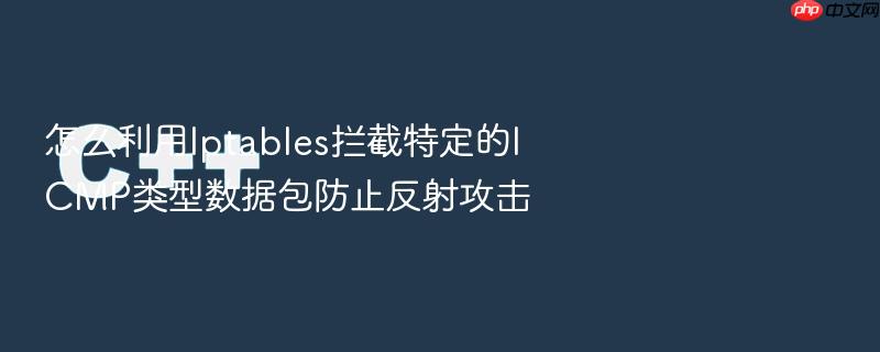 怎么利用iptables拦截特定的icmp类型数据包防止反射攻击