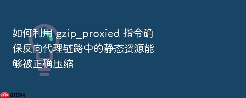如何利用 gzip_proxied 指令确保反向代理链路中的静态资源能够被正确压缩