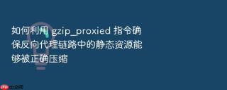 如何利用 gzip_proxied 指令确保反向代理链路中的静态资源能够被正确压缩