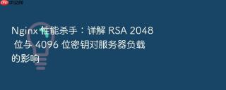 nginx 性能杀手:详解 rsa 2048 位与 4096 位密钥对服务器负载的影响