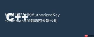 如何利用SSH的AuthorizedKeysCommand加载动态云端公钥