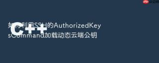 如何利用ssh的authorizedkeyscommand加载动态云端公钥
