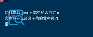 如何在 nginx 日志中加入自定义文本标签以区分不同的业务线流量