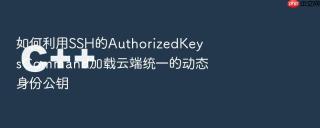 如何利用ssh的authorizedkeyscommand加载云端统一的动态身份公钥