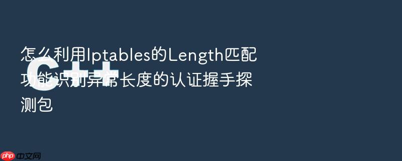 怎么利用iptables的length匹配功能识别异常长度的认证握手探测包