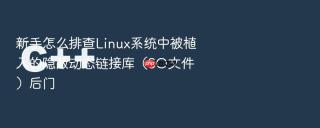 新手怎么排查Linux系统中被植入的隐蔽动态链接库（SO文件）后门