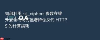 如何利用 ssl_ciphers 参数在提升安全的同时显著降低反代 https 的计算损耗
