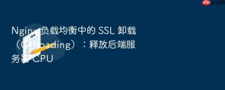 nginx 负载均衡中的 ssl 卸载(offloading):释放后端服务器 cpu