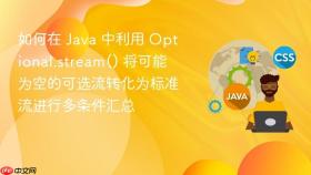 如何在 java 中利用 optional.stream() 将可能为空的可选流转化为标准流进行多条件汇总