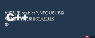 如何利用Iptables的NFQUEUE将可疑报文转发至自定义过滤引擎
