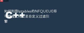如何利用iptables的nfqueue将可疑报文转发至自定义过滤引擎