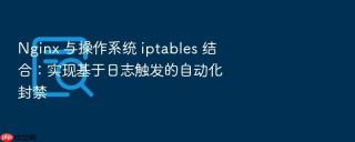 nginx 与操作系统 iptables 结合:实现基于日志触发的自动化封禁