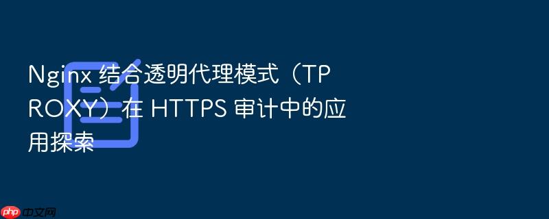 nginx 结合透明代理模式(tproxy)在 https 审计中的应用探索