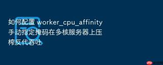 如何配置 worker_cpu_affinity 手动指定掩码在多核服务器上压榨反代吞吐