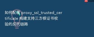 如何配置 proxy_ssl_trusted_certificate 构建支持三方根证书校验的反代链路