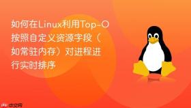 如何在linux利用top-o按照自定义资源字段（如常驻内存）对进程进行实时排序